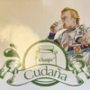 pegatina-ari-vatanen