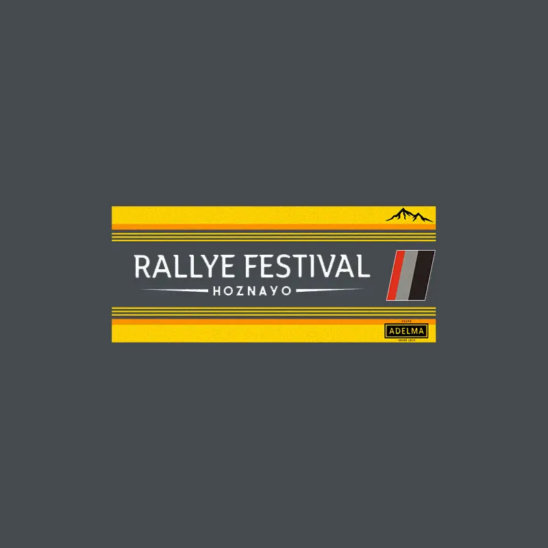 sudadera_rallye-stig-blomqvist-04